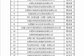 限购升级？外地人合肥买房四大办法，这169家企业可申请买房图片