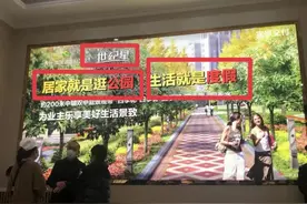 成都长冶南阳御龙府遭官方立案调查后续：违法情节严重，涉虚假宣传被处罚75万元图片