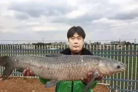 李霄鹏有救啦！网传鲁能大鱼浮出水面，剑指荷甲豪门金靴博古伊斯图片