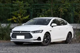 7.98万能买Dragon Face，秦Pro超越版配置实在图片