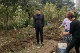 卧龙区光武街道全力推进“四改一拆”工作图片