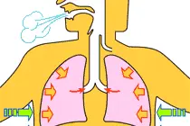 神奇的60秒增寿操，真人示范，一看就会图片