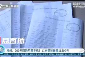 200元就能网购苹果手机？常州11岁男孩被骗16300元图片