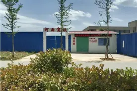 大河调查丨交1.8万考试露个脸，C1驾照俩月到手，南阳西峡还有这事？图片