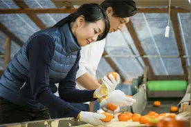 家庭办厂，现在有哪些项目投入少、收益高，比较适合农村创业的？图片