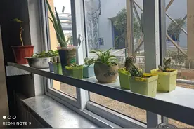 饶人的接触器频繁吸合咋回事？图片