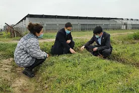 聚焦2020年“五四青年节”：让青春在奋斗中飞扬图片