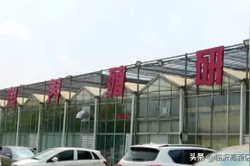 在高新区，有个神秘的“鳄鱼养殖基地”图片