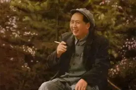 毛主席看不懂英语文件，请林克当英语老师，还制定了“五年计划”图片