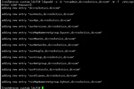 干货分享，从0搭建LDAP统一认证服务图片