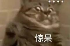 表情包｜等星星都睡着了，再说想你图片