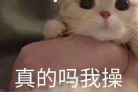 女孩疯狂吸猫不到十天头秃了！网友：太像河童了…图片