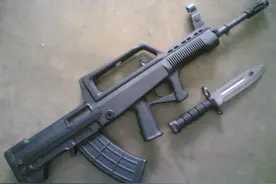 为什么解放军步枪上很少装瞄准镜，美国步枪瞄准镜却成了标配？图片