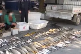 知法犯法！湖北仙桃一对夫妻禁渔期内非法捕捞当场被抓图片