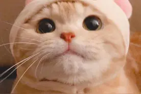 猫一样的女人，最容易让男人“上瘾”,她们都有这五种特质图片