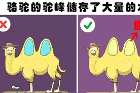 很多人错误相信的7个关于动物的有趣事实图片