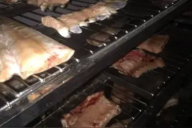 市场看好：鳄鱼肉烘干机出品高品质鳄鱼肉干图片