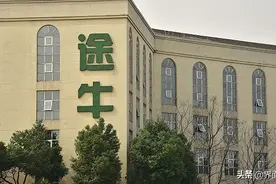 「深度」途牛徘徊在退市边缘图片