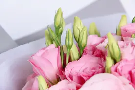 在男人心里，妻子和情人是不一样的，希望你是第一种图片