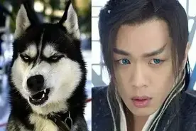 张若昀的“黑历史”好好笑图片