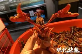 别大意！19岁小伙和小龙虾“握”了下手，结果悲剧了…图片