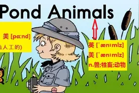 英语绘本——Pond Animals 池塘动物图片