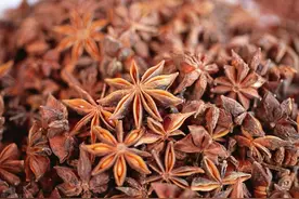 今日中药材市场行情：金银花、山楂、黑枸杞、蛇床子、八角茴香图片