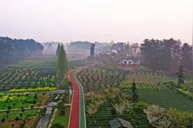 四川一个小县城，被称为“天然氧吧”，人口不到26万，生活很幸福图片