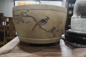 紫砂花盆赏析之二十二，文革粉浆点彩大鼓盆图片