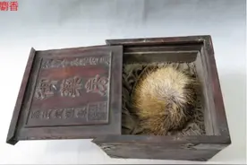 广西自然保护区出现罕见生物，竟然是一级保护动物，怎么跑这来了图片