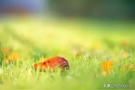 人生的最高境界，就是这2个字，做到就是完美！图片