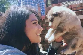 女子养了只阿拉斯加，一段时间后朋友去看：怕是离吃土不远了图片