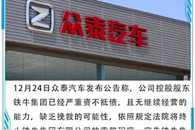 每周辣评｜母公司铁牛集团都破产了，谁来接手众泰？图片