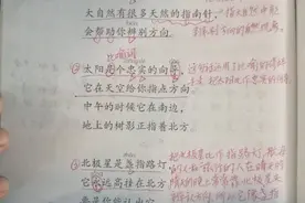 《要是你在野外迷了路》教材分析与课堂笔记图片