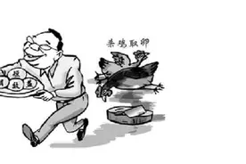 没钱的人就要去折腾才会变富有，你觉得这句话有道理吗图片