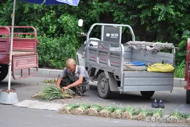 八旬醉酒大爷卖菜算糊涂账，晚年戒酒成“宠妻狂魔”，看咋回事图片