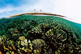 南海琼台礁：价值远超黄岩岛，倘若吹填，驻守可向南推进500公里图片