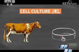 吃牛肉可以不杀牛了？餐桌上的革命：“人造肉”口感营养都如何