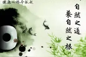 生命在于运动还是在于静止？图片