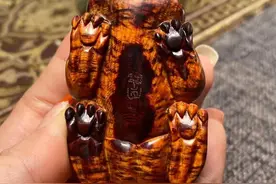 花梨公红降图片