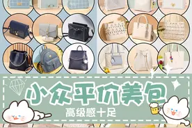小众平价美包｜高级感十足｜四季可背图片
