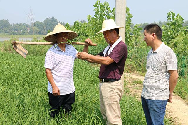 鍏ㄨ惀鍏绘皑鍩洪吀鍙堕潰鑲ワ紝鑷繁鍦ㄥ灏辫兘閰嶏紝涓€瀛ｇ敤3娆＄敤鍚庝骇閲忕炕鍊? onerror=