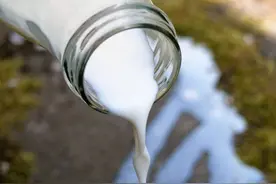每年3500万吨！减少食物浪费，除了“光盘”，还有啥图片