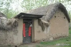 农村七八十年代那么多蛇，为何现在突然消失了？图片