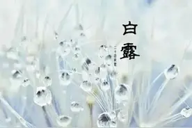 “白露前是雨，白露后是鬼”，白露前后下雨这么大区别？看完明白图片