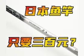 花三百元买了一根日本鱼竿，强度不到4公斤，是不是亏了？图片