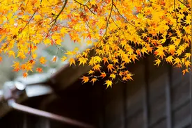 不必在意，有些人、有些事压根不重要图片