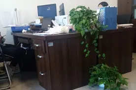 碰到炫耀说托关系上岸公务员的你还真没辙图片