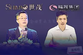 世茂福晟“千亿并购”僵局图片