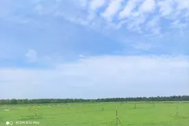 寿北大草原，我们来啦！---探访飞燕草坪寿光双王城基地图片